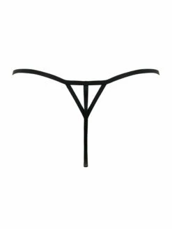 Pour Moi India Embroidery Thong -CA Swimsuit Sales Shop 20364IndiaBoldEmbroideryThongBlackBackEdited