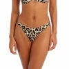 Freya Animal Instinct High Leg Swim Brief