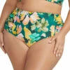 Artesands Botticelli Hi-Waist Swim Bottom