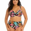 Elomi Tropical Falls Plunge Bikini Top