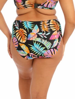 Elomi Tropical Falls Mid Rise Bikini Brief -CA Swimsuit Sales Shop ES801572TropicalFallsMidRiseBikiniBriefBackEdited