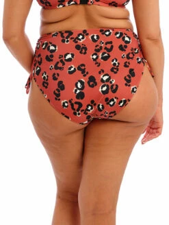 Elomi Kotiya Adjustable Bikini Brief -CA Swimsuit Sales Shop ElomiKotiyaAdjustableBikiniBriefES800973TerracotaBack