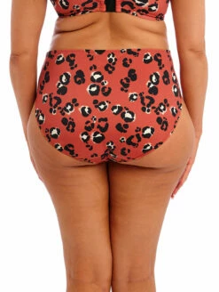 Elomi Kotiya Mid Rise Bikini Brief -CA Swimsuit Sales Shop ElomiKotiyaMidriseBikiniBriefES800972TerracotaBack