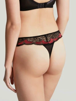 Panache Clara Thong 7 Panache Clara Thong -CA Swimsuit Sales Shop PanacheClaraThongNoirRuby7259Back