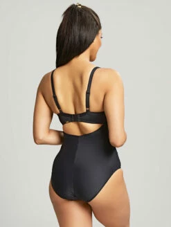 Panache Serenity Moulded Plunge One Piece Swimsuit -CA Swimsuit Sales Shop SW1560PanacheSerenityMouldedPlungeSwimsuitNoirBack