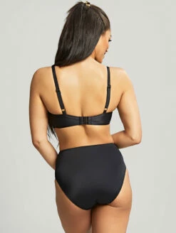 Panache Serenity Plunge Bikini Top -CA Swimsuit Sales Shop SW1564SerenityPlungeBikiniTopSW1567SerenityMidiPantNoirBack