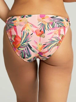 Panache Paradise Classic Bikini Brief -CA Swimsuit Sales Shop SW1639ParadiseCLassicBikiniBriefPinkTropicalBackEdited