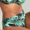 Panache Bali Midi Bikini Brief