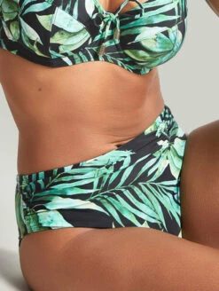 Panache Bali Midi Bikini Brief
